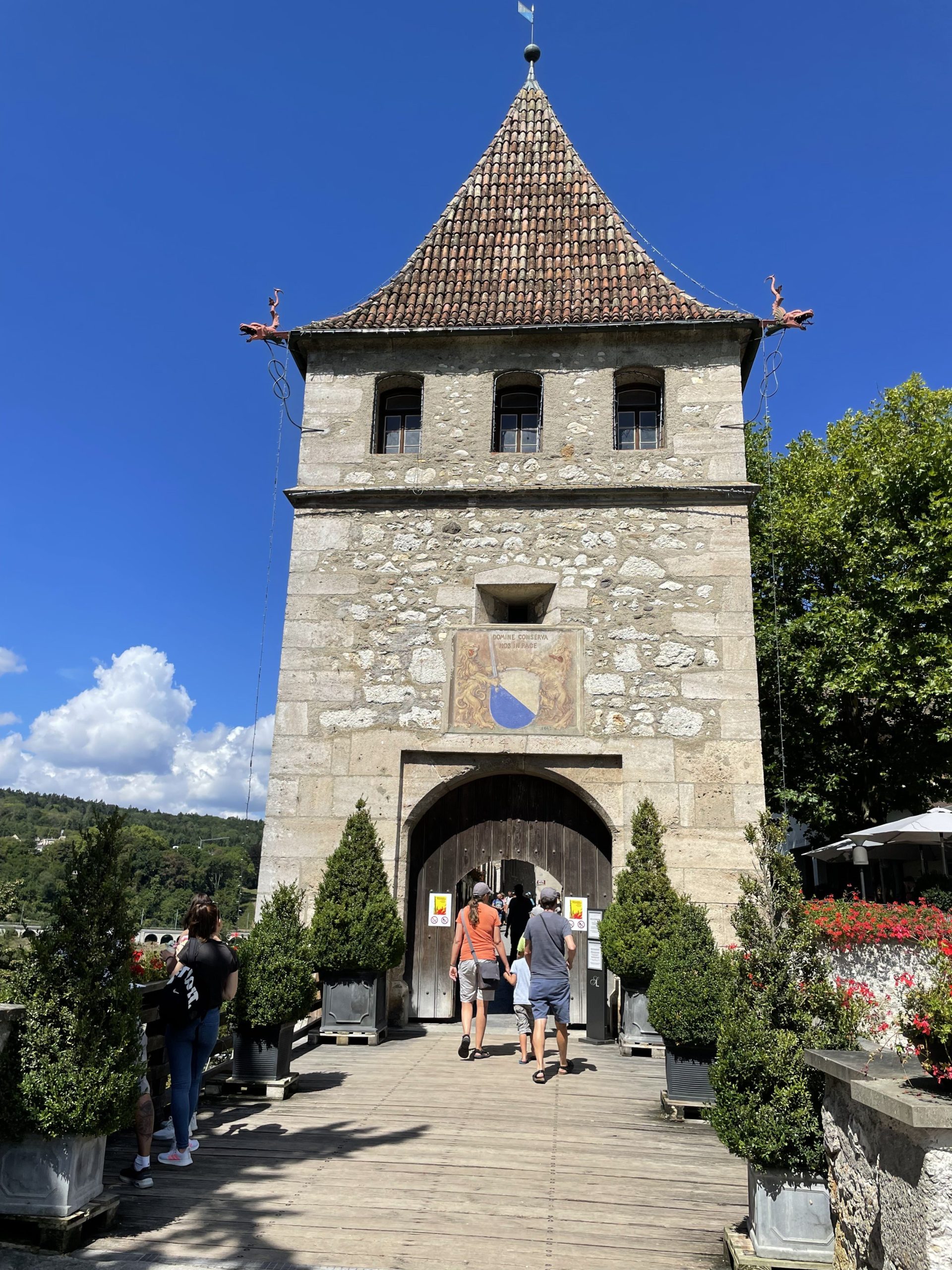 castillo Schloss Laufen⁣, Cataratas del Rin